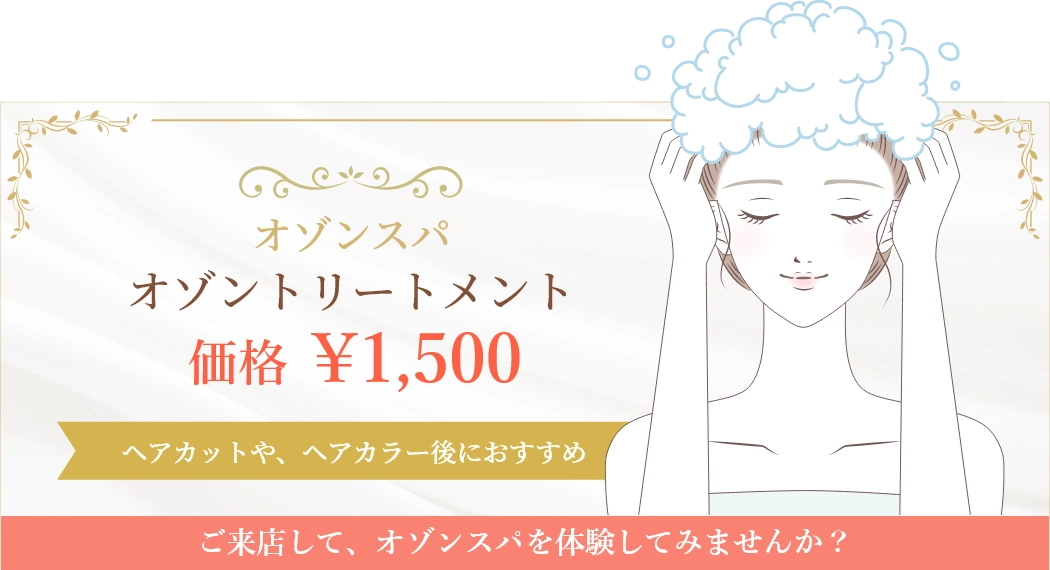 オゾントリートメント価格:1,000